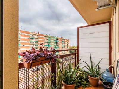 Piso concordia , 3 habitaciones + estudio . piscina comunitaria en Sabadell
