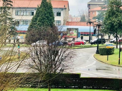 Piso de alquiler en Avenida de Pedro Masaveu, Auditorio - Seminario - Parque de Invierno