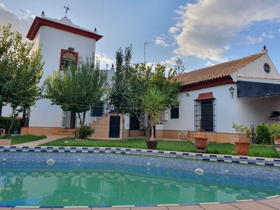 Venta de casa con piscina y terraza en Espartinas, ZONA RESIDENCIAL MUY TRANQUILA