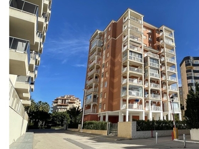 1 Dormitorio - Apartamento - Murcia - En Venta
