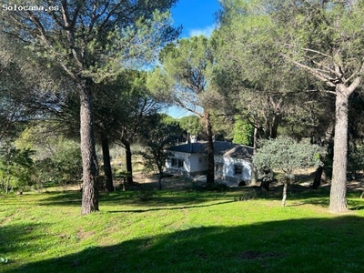 Casa con terreno en Venta en Andújar, Jaén