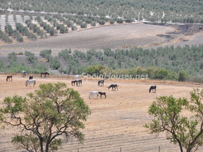 Local en venta en La Puebla de Cazalla