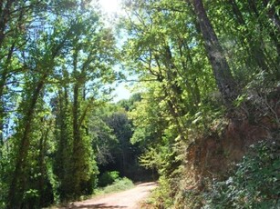 Alquiler Integro en Salamanca