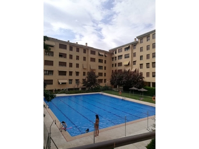 Alquiler de piso con piscina en Azucaica (Toledo)