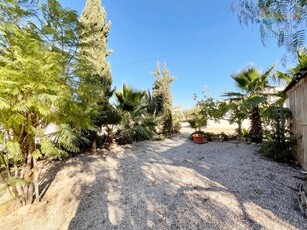 Casa con terreno en Fuente Álamo de Murcia