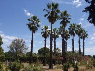 Chalet en Badajoz