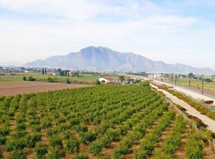 Chalet en Callosa de Segura