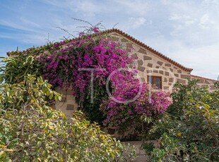 Finca/Casa Rural en venta en Aldea Blanca (Tenerife), San Miguel de Abona, Tenerife