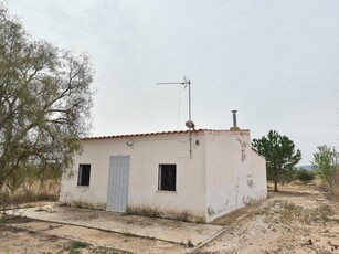 Finca/Casa Rural en venta en Pinoso, Alicante