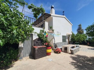 Finca/Casa Rural en venta en Sierro, Almería
