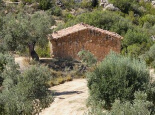 Finca en Maella, Zaragoza provincia