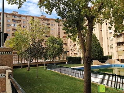 Alquiler de piso en Avda de Madrid - Pº de la Estación de 4 habitaciones con piscina y garaje