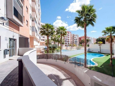 Alquiler Piso Alicante - Alacant. Piso de dos habitaciones Sexta planta con terraza