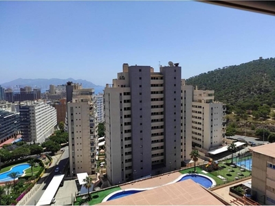 Alquiler Piso Villajoyosa - La Vila Joiosa. Piso de dos habitaciones Octava planta con terraza