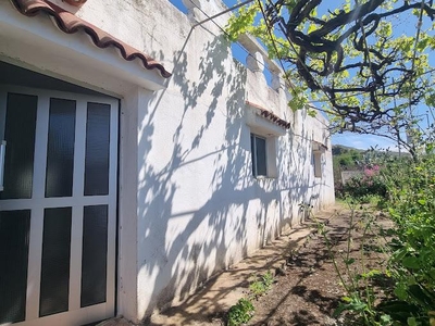 Casa Aislada en venta. Casa terrera con finca en Los Altos del Saucillo de Gáldar una de las mejores zonas de Gran Canaria