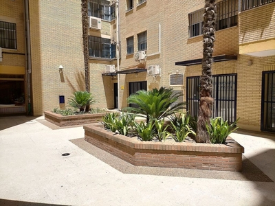Venta de piso en calle Doctor Pedro de Castro de 3 habitaciones con garaje y jardín