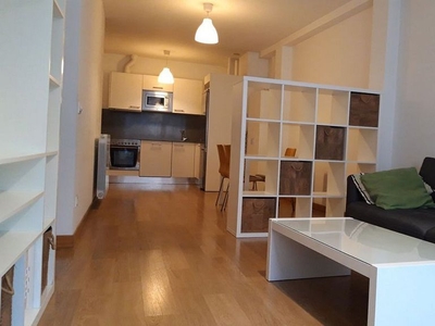 Piso en alquiler en Centro - Vitoria-Gasteiz de 1 habitación con muebles y balcón