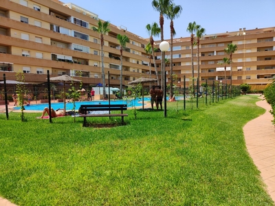 Venta de vivienda con piscina y terraza en Roquetas de Mar, Las salinas