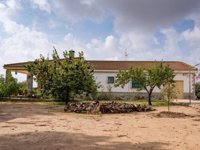 Casa con terreno en Fuente Álamo de Murcia