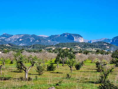 Chalet en Santa Maria del Camí