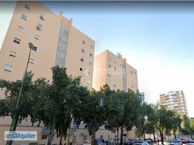 Alquiler piso ascensor y terraza Sur