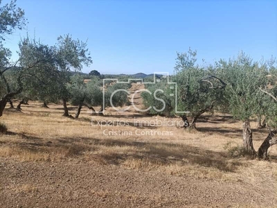 Solar/Parcela en venta en Cazalla de la Sierra, Sevilla