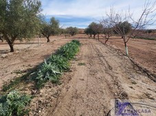 Venta Casa rústica Cieza (Murcia).