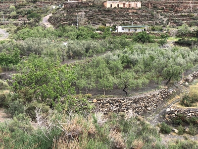 Finca rústica en venta en camino Bacares, 10