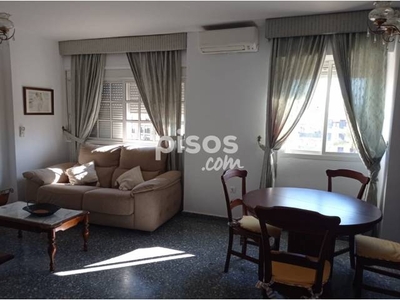 Piso en alquiler en Calle Doctor Rubio en Molino de la Vega por 650 €/mes