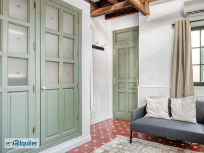 Apartamento de 1 dormitorio en alquiler en Madrid