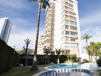 Apartamento de alquiler en Avenida de Europa, Playa Arenal - Bol