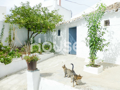 Casa en venta de 197 m² Calle Fresno, 14960 Rute (Córdoba)