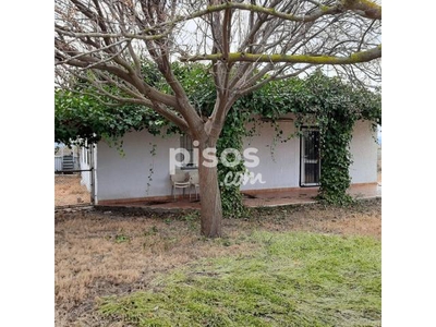 Finca rústica en venta en La Safor - Oliva