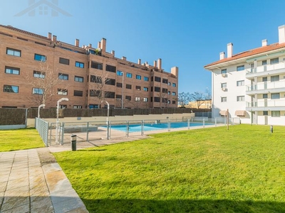 Planta baja en venta en Avenida de la Dehesa, 5, La Dehesa - El Pinar