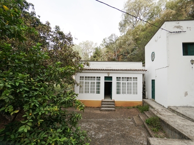 Encantadora Casa Rústica en Teror, Zona del Hornillo, con Amplio Terreno y Vistas Privilegiadas Venta San José del Álamo El Hornillo