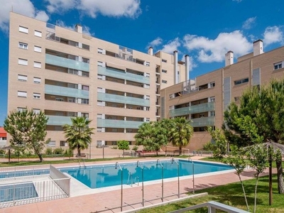 Alquiler de piso en plaza Catedrática Asunción Linares de 1 habitación con terraza y piscina