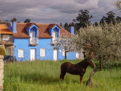 Casa En Lamalonga, Terras de Trás-os-Montes