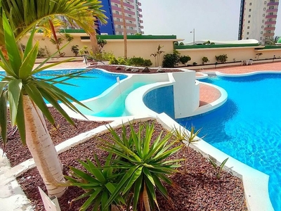 Alquiler de estudio en avenida Adeje con terraza y piscina