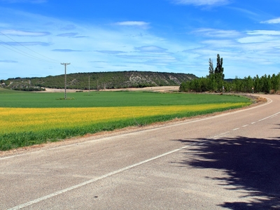 Rústico en venta, Villavaquerín, Valladolid