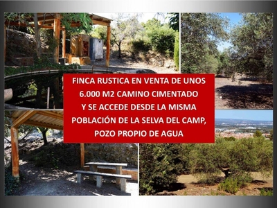 Venta Casa rústica La Selva del Camp. 14 m²