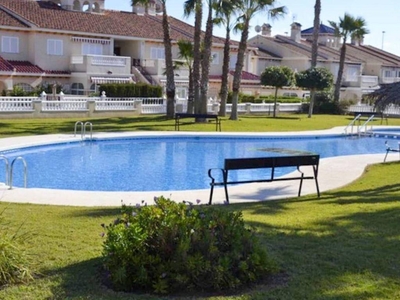 Alquiler Piso Orihuela. Piso de una habitación Primera planta con terraza