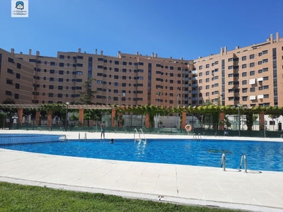 Alquiler de piso con piscina en Paseo Zorrilla, Campo Grande, Cuatro de Marzo (Valladolid), Paseo Zorrilla