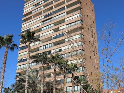 Venta Piso Benidorm. Piso de dos habitaciones en Calle Juan Llorca. Segunda planta con terraza