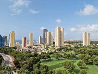 Venta Piso Benidorm. Piso de dos habitaciones Sexta planta con terraza