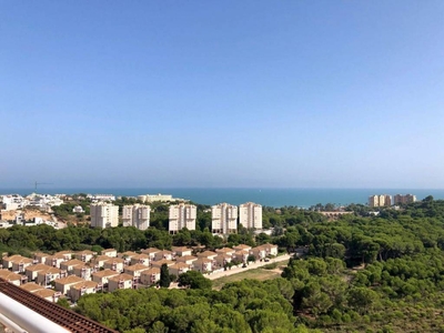 Venta Piso Orihuela. Piso de tres habitaciones Novena planta con terraza