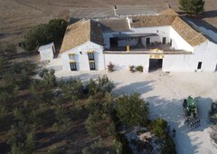 Finca/Casa Rural en venta en Morón de la Frontera, Sevilla