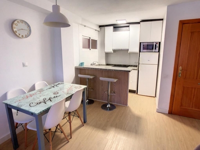 VENDO PISO DE 1 DORMITORIO ARROYO DE LA MIEL BENALMADENA Venta Benalmádena Costa Parque de la Paloma