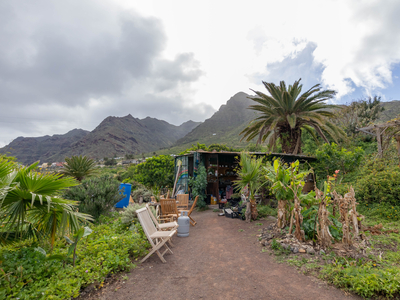 Finca Rústica con gran potencial Venta Bajamar Punta del Hidalgo