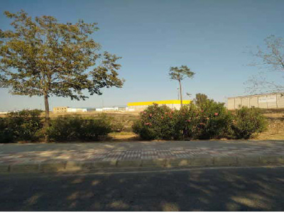 Parcela urbanizable en venta en la A-8006' Alcalá del Río