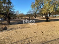 Finca rústica en alquiler en Cartaya en Cartaya por 900 €/mes